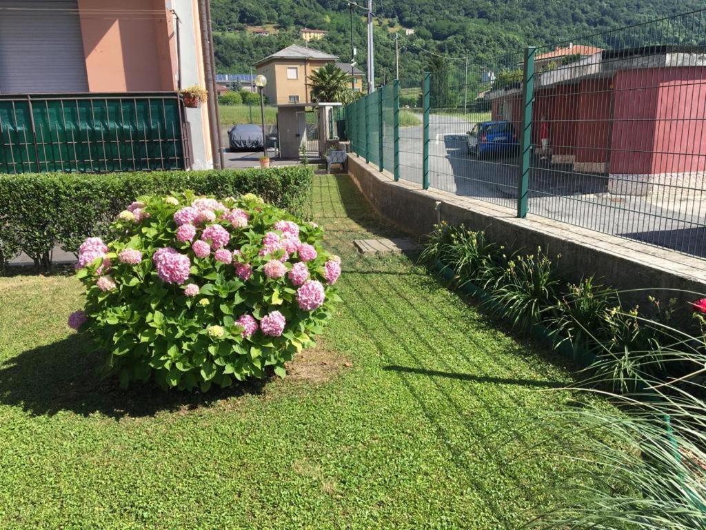 Big Family Bed & Breakfast Suello Exterior photo